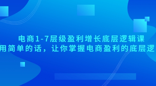 电商1-7层级盈利增长底层逻辑课：用简单的话，让你掌握电商盈利的底层逻辑 