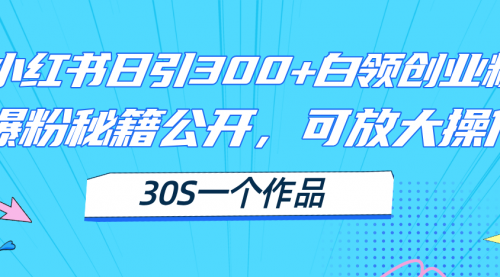 小红书日引300+高质白领创业粉，可放大操作，爆粉秘籍