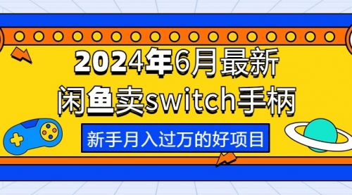 2024年6月最新闲鱼卖switch游戏手柄