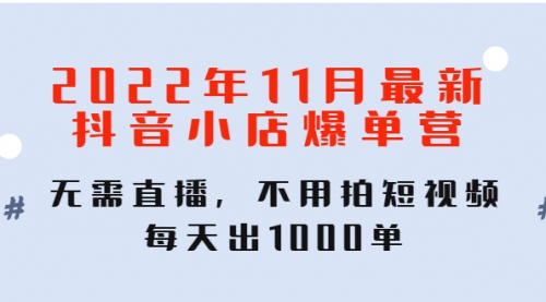 11月最新抖音小店爆单训练营：无需直播，不用拍短视频，每天出单 