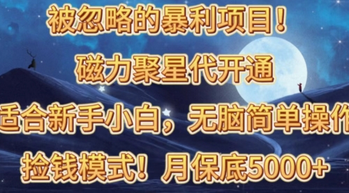 磁力聚星代开通捡钱模式，轻松月入五六千