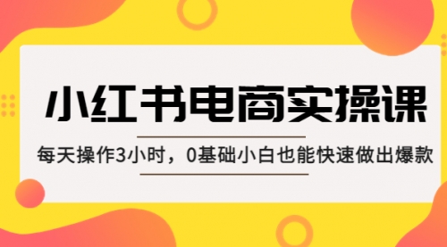 小红书·电商实操课：每天操作3小时，0基础小白也能快速做出爆款！ 