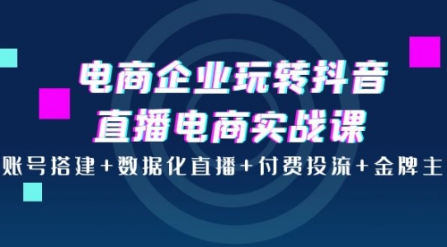 电商企业玩转抖音直播电商实战课：账号搭建+数据化直播+付费投流+金牌主播 