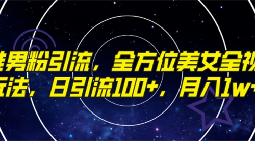 精准男粉引流，全方位美女全视角玩法，日引流100+，月入1w