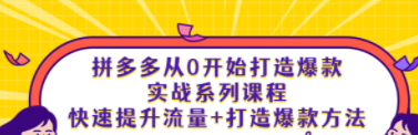 拼多多从0开始打造爆款实战系列课程：快速提升流量+打造爆款方法 