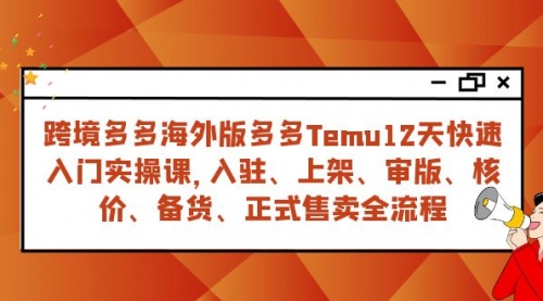 跨境多多海外版多多Temu12天快速入门实战课，从入驻 上架到正式售卖全流程