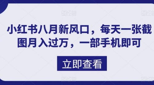 八月新风口，小红书虚拟项目一天收入1000+