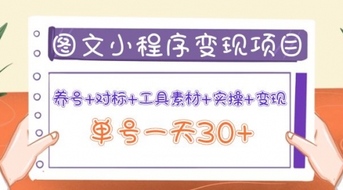 图文案小程序变现项目：养号+对标+工具素材+实操+变现，单号一天30+ 