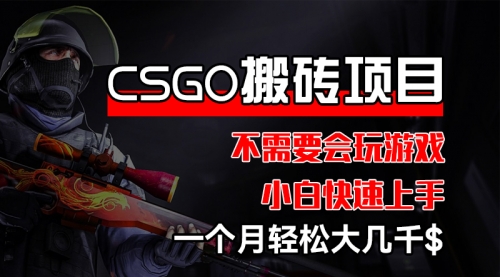 CSGO 装备搬砖项目，操作简单，不需要会玩游戏，小白也能快速上手