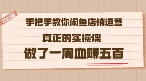 2022版《手把手教你闲鱼店铺运营》真正的实操课 做了一周血赚五百 (16节课) 