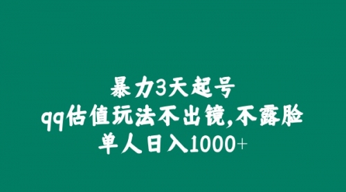 全新暴力3天起号qq估值玩法，不出镜，不露脸，单人日入1000+