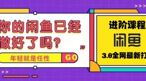 火爆全网的咸鱼玩法进阶课程，单号日入1K的咸鱼进阶课程 