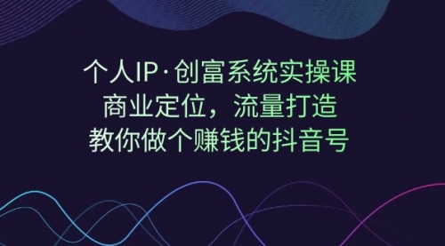 个人IP·创富系统实操课：商业定位，流量打造，教你做个赚钱的抖音号