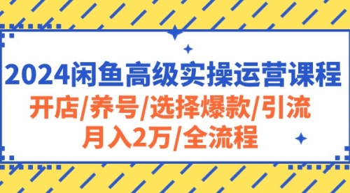 2024闲鱼高级实操运营课程：开店/养号/选择爆款/引流/月入2万/全流程