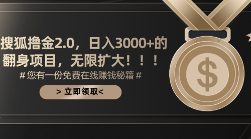 搜狐撸金2.0日入3000+，可无限扩大的翻身项目