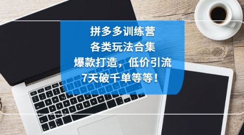 拼多多训练营：各玩法合集，爆款打造，低价引流，7天破千单等等！ 