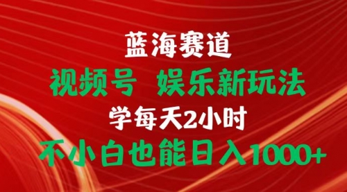 蓝海赛道视频号 娱乐新玩法每天2小时小白也能日入1000+