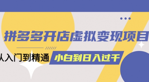 拼多多开店虚拟变现项目：入门到精通 从小白到一天1000（完整版） 