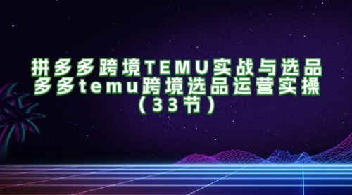 拼多多跨境TEMU实战与选品，多多temu跨境选品运营实操