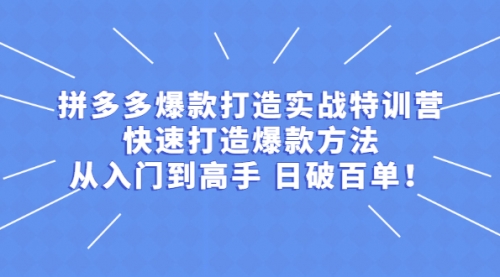 拼多多从入门到高手，爆款实战训练营日破百单