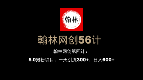 翰林网创第四计：5.0男粉项目，一天引流300+，日入600+