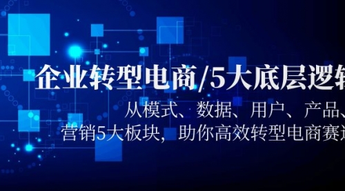 企业转型电商/5大底层逻辑，从模式 数据 用户 产品 营销5大板块，高效转型 