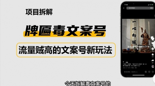 2023抖音快手毒文案新玩法，牌匾文案号，起号快易变现 