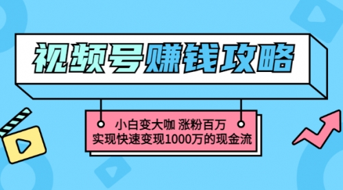 玩转微信视频号赚钱：小白变大咖 涨粉百万 实现快速变现1000万的现金流