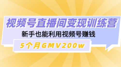 视频号直播间变现训练营：新手也能玩转视频号 