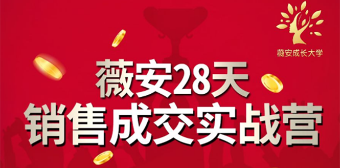 薇安28天销售成交实战营，5分钟成交3万，实现了月入近6位数的营收