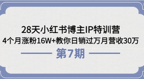 28天小红书博主IP特训营《第6+7期》4个月涨粉16W+教你日销过万月营收30万 