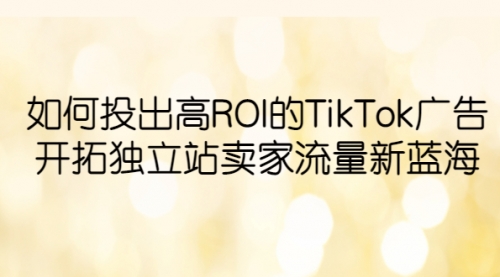 如何投出高ROI·TikTok广告，开拓独立站卖家流量新蓝海