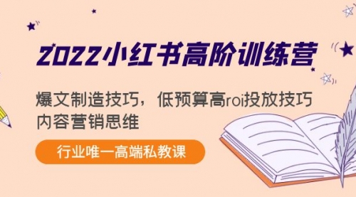 2022小红书高阶训练营：爆文制造技巧 