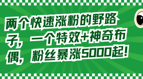 两个快速涨粉的野路子，一个特效+神奇布偶，粉丝暴涨5000起！