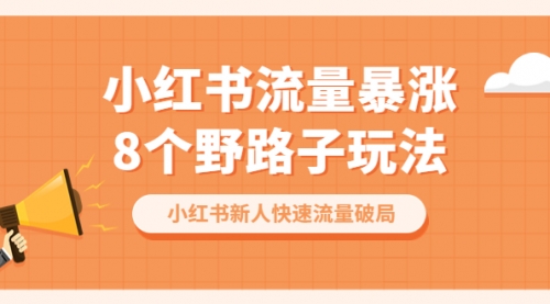 小红书流量-暴涨8个野路子玩法：小红书新人快速流量破局（8节课）