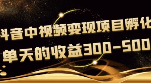 黄岛主《抖音中视频变现项目孵化》单天的收益300-500 操作简单粗暴 