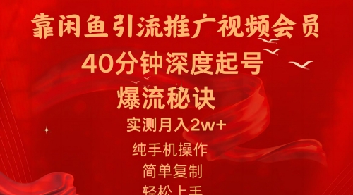 闲鱼暴力引流推广视频会员，能做到日入2W+，操作简单