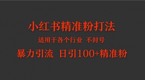 小红书各个行业适用的精准粉暴力引流打法 日引100+精准粉