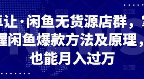 闲鱼无货源店群，掌握闲鱼爆款方法快速出单，轻松月入10000+