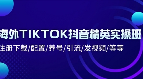 海外TIKTOK抖音精英实操班：注册下载/配置/养号/引流/发视频/等等