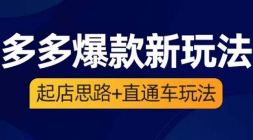 2023拼多多爆款·新玩法：起店思路+直通车玩法（3节精华课） 