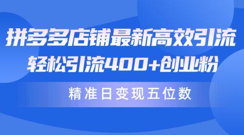 拼多多店铺最新高效引流术，轻松引流400+创业粉，精准日变现五位数！